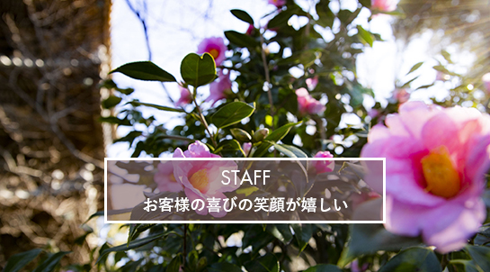 スタッフ紹介